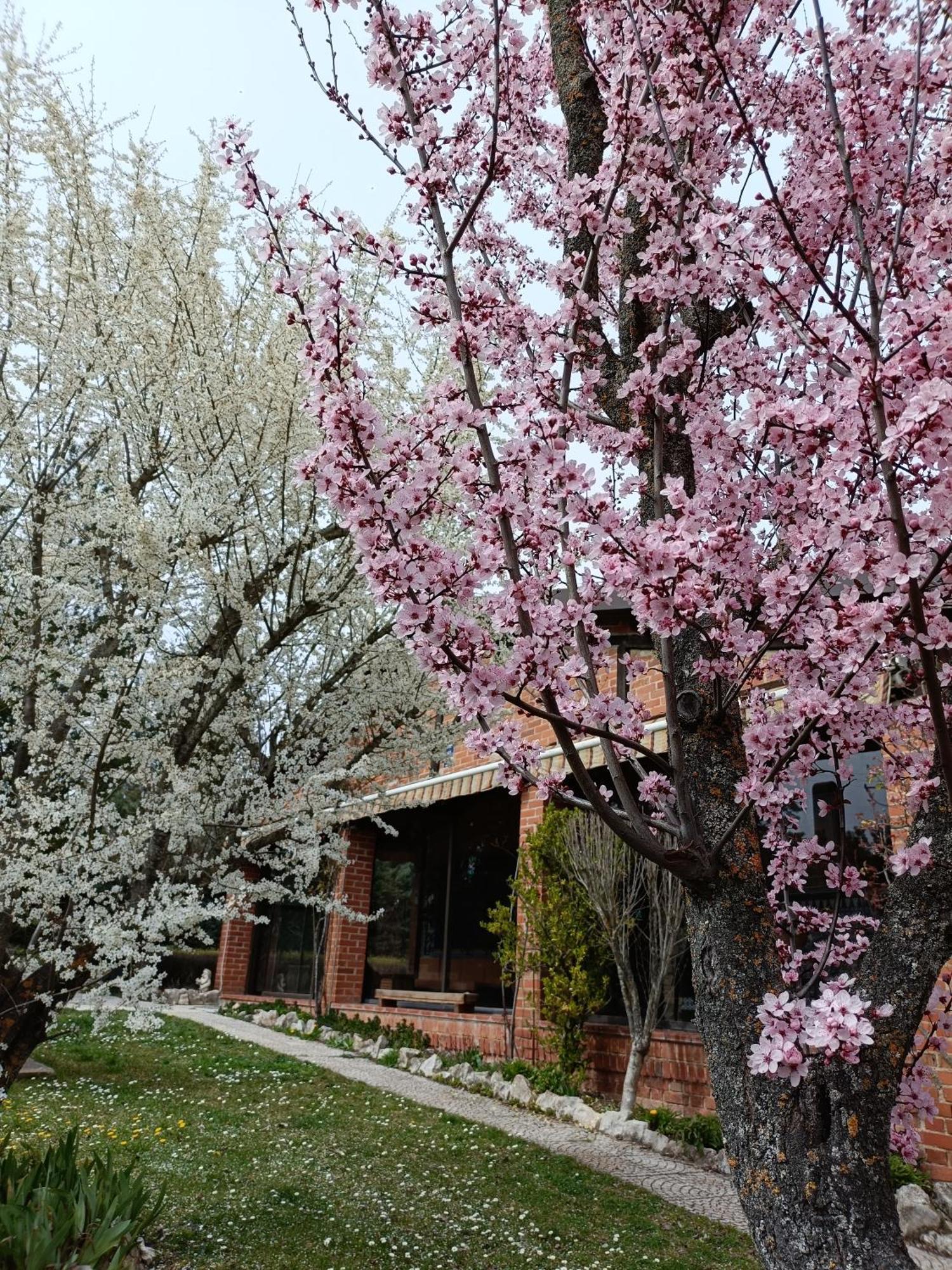 Finca Paraiso Rural 엘부르고데오스마 객실 사진